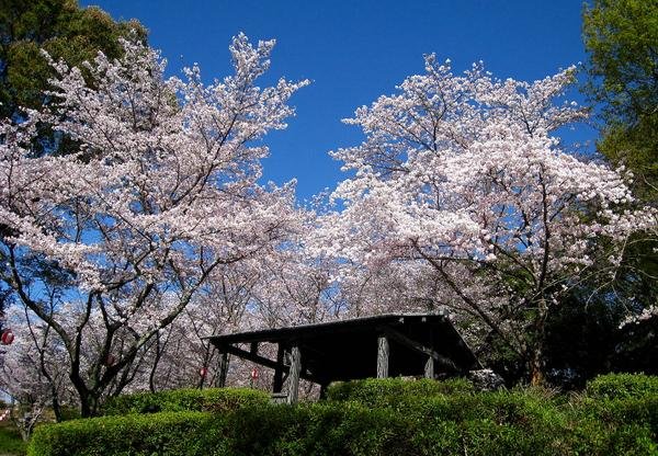🏞️ 뱀 계곡 공원 (자가타니 코엔)